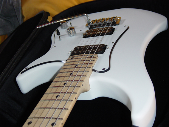 Vigier Excalibur